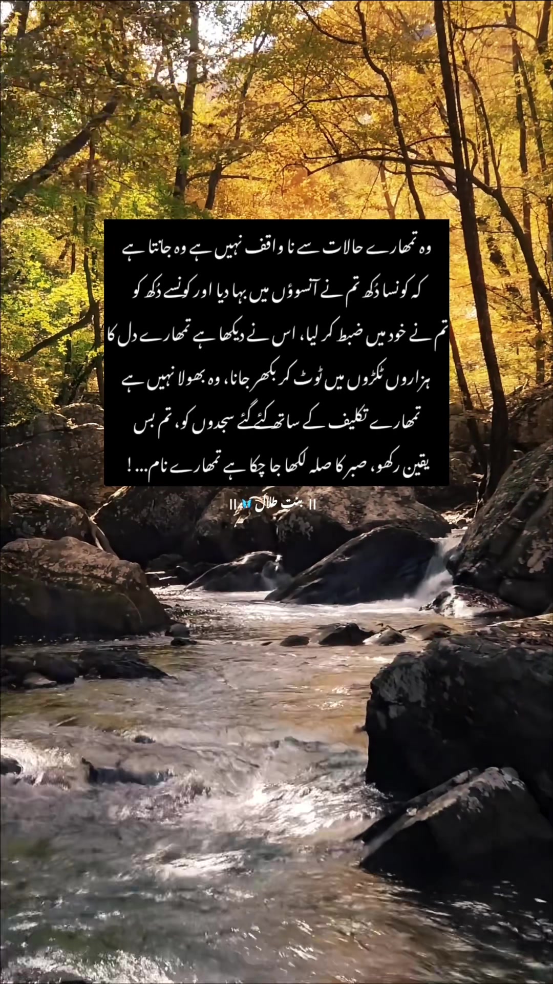 @🦋 بنتِ طلال