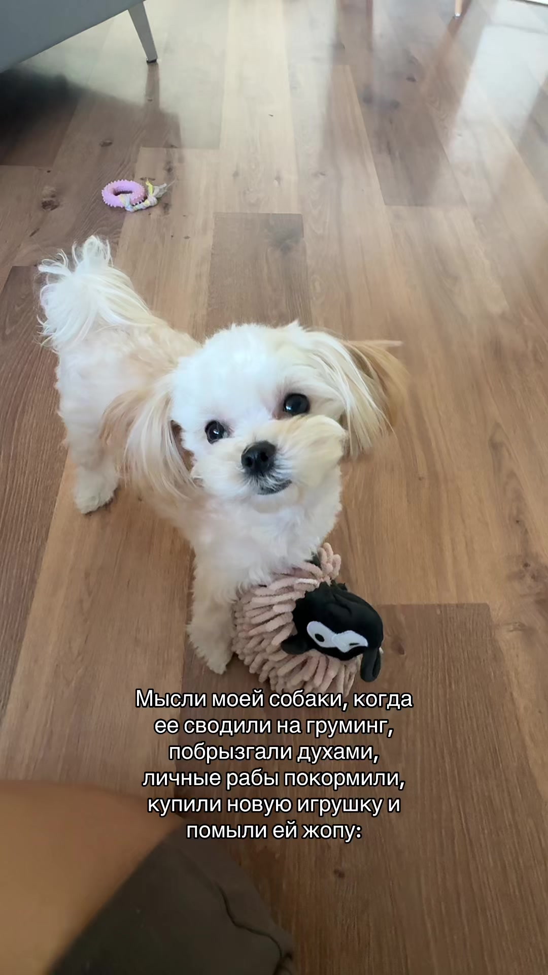 @Ксения