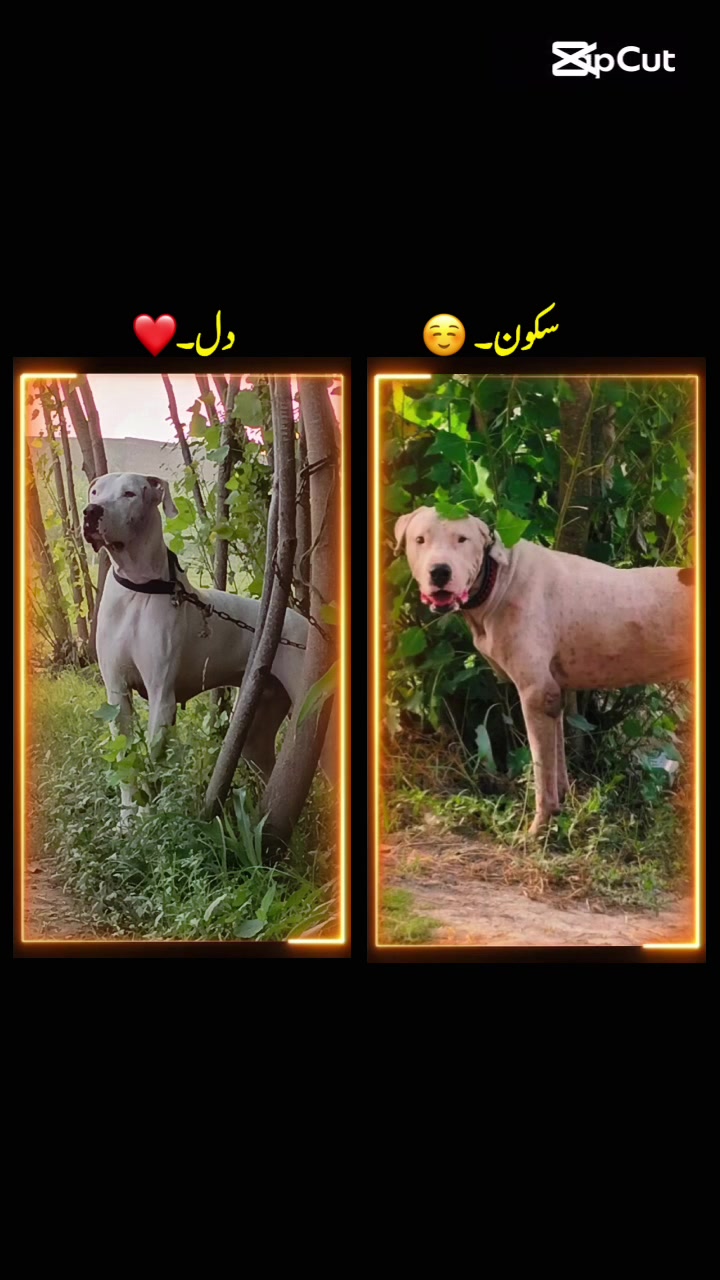 @MåTëēÑ-Khåñ__(SSåLäR ZåÏ