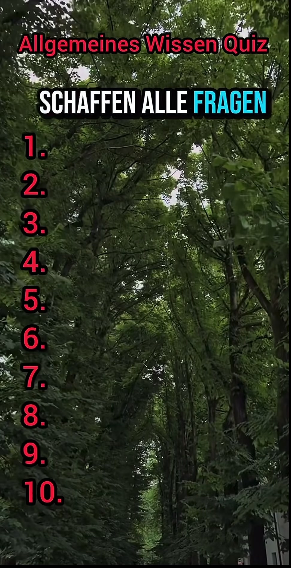 @DailyQuizMaster