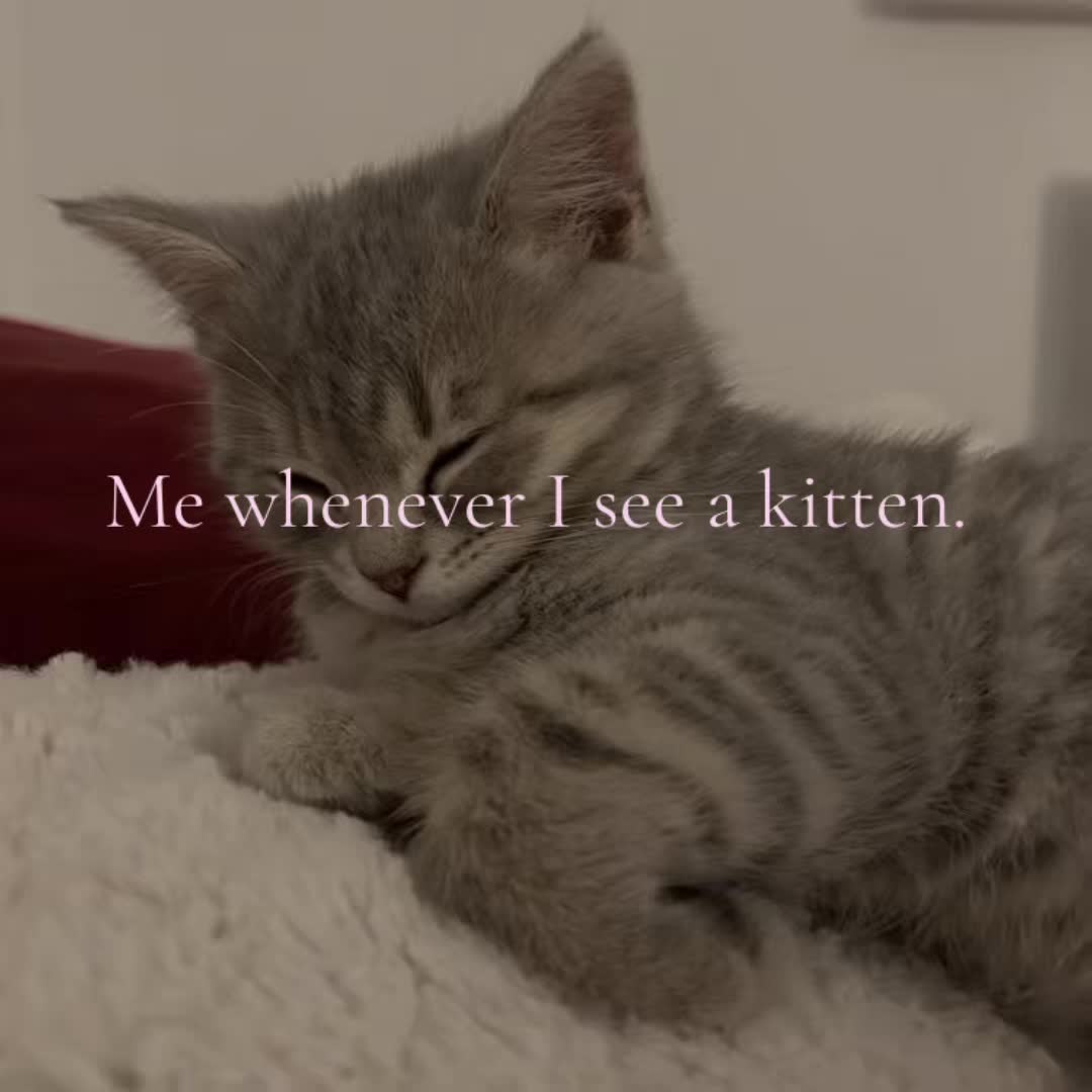 @..𝙿𝚛𝚒𝚗𝚌𝚎𝚜𝚜_𝚖𝚊𝚢𝚊..