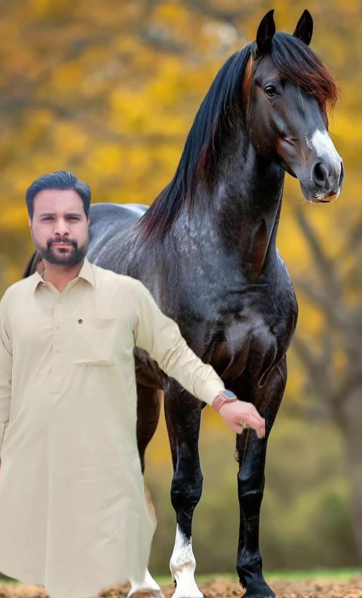 @king.atif