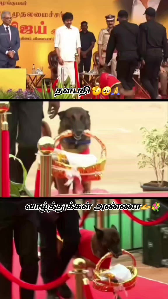 @๐ค๐๐ฅ๐๐๐ค ๐๐๐ฏ๐ข๐ฅ๐ค