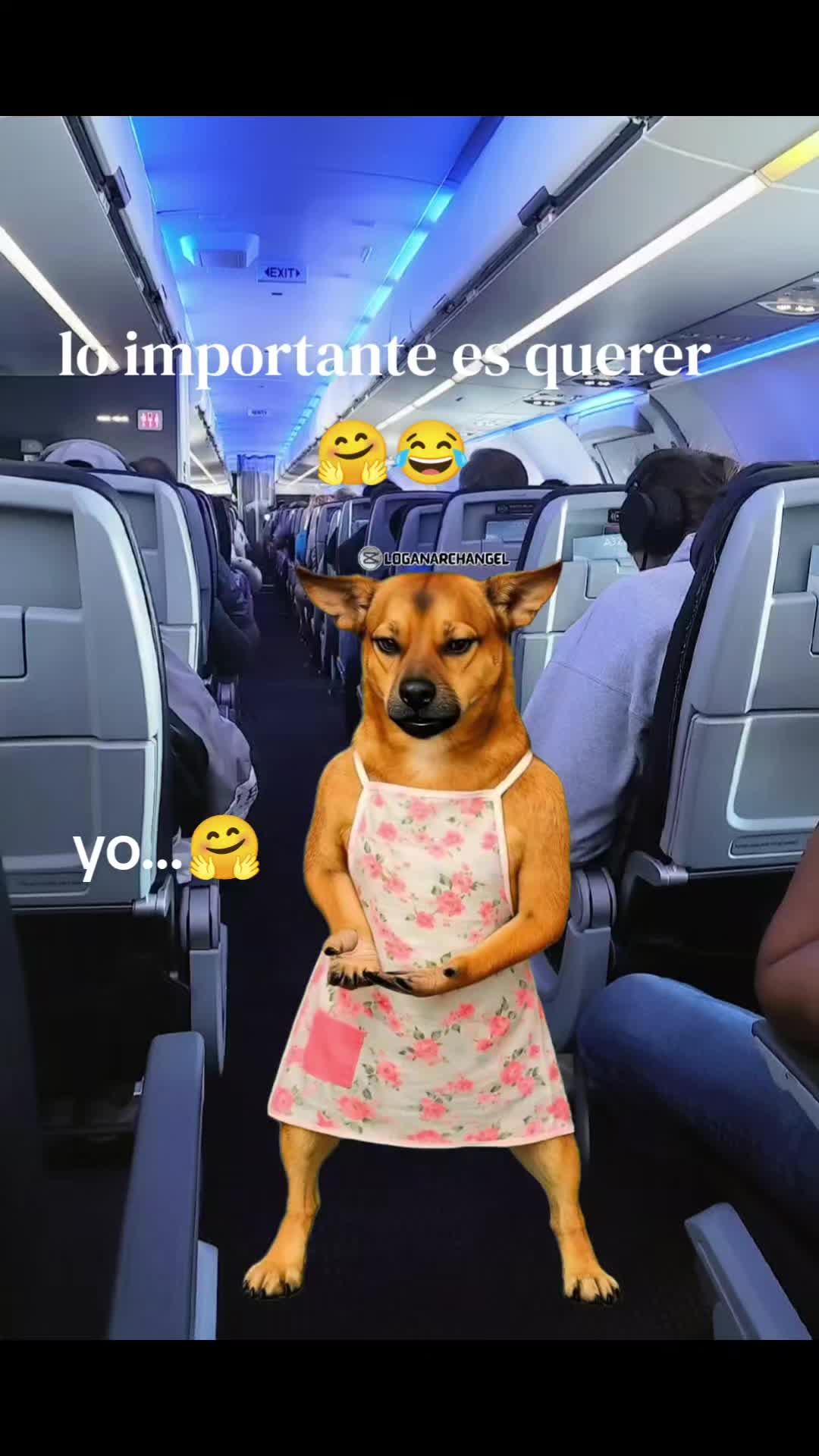 @Pincheloca🤗