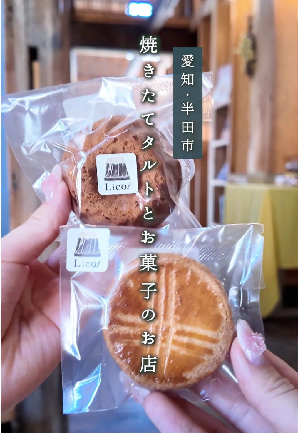 @ちたたび🦘愛知で遊ぶなら知多へ行こう
