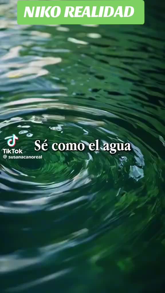@NIKO REALIDAD