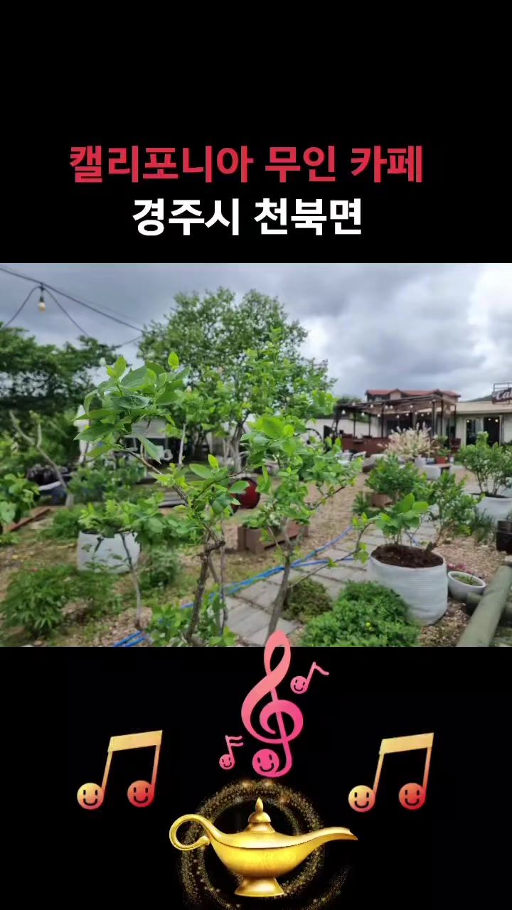 @손세이셔널ks