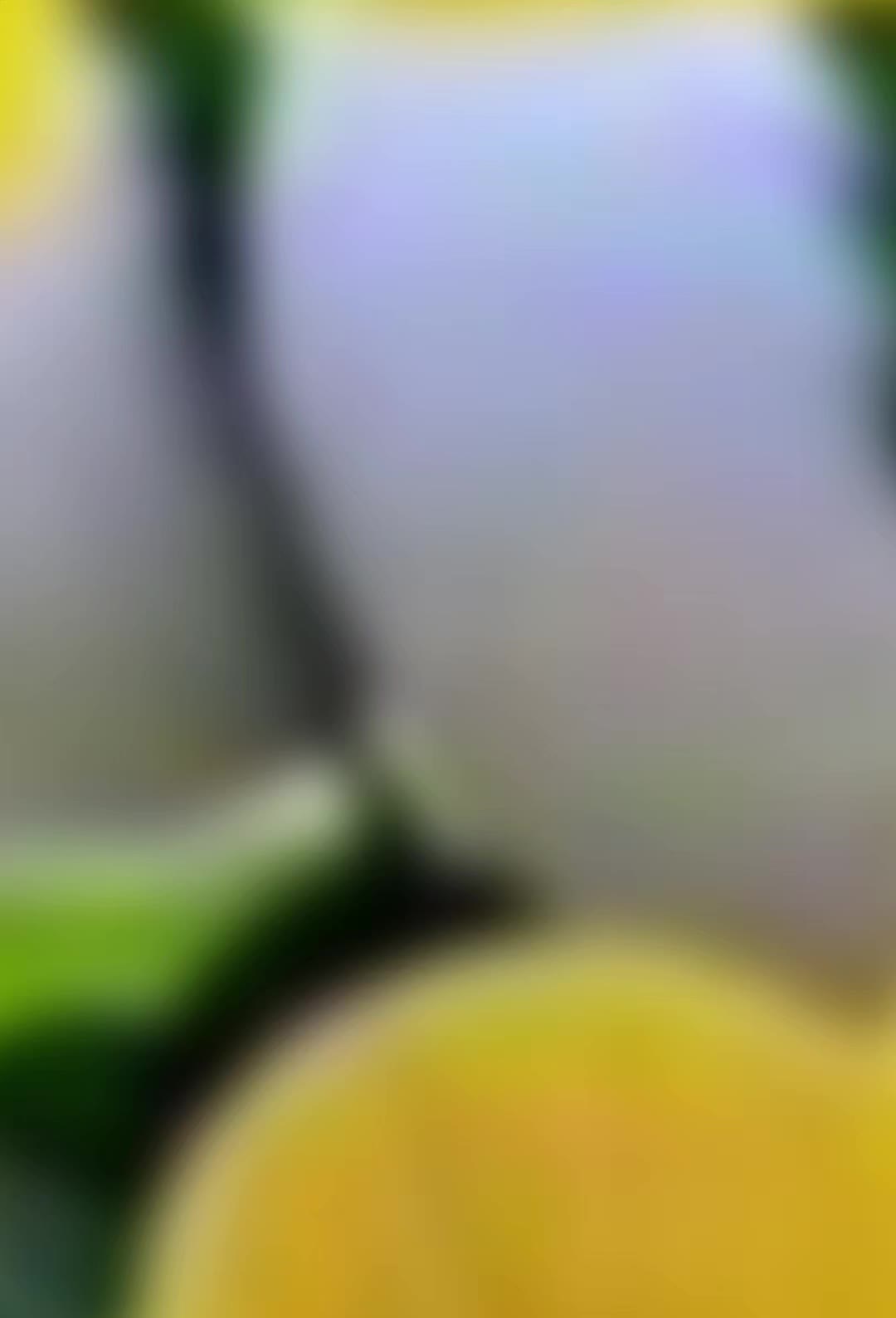 @dhakalbhujel789