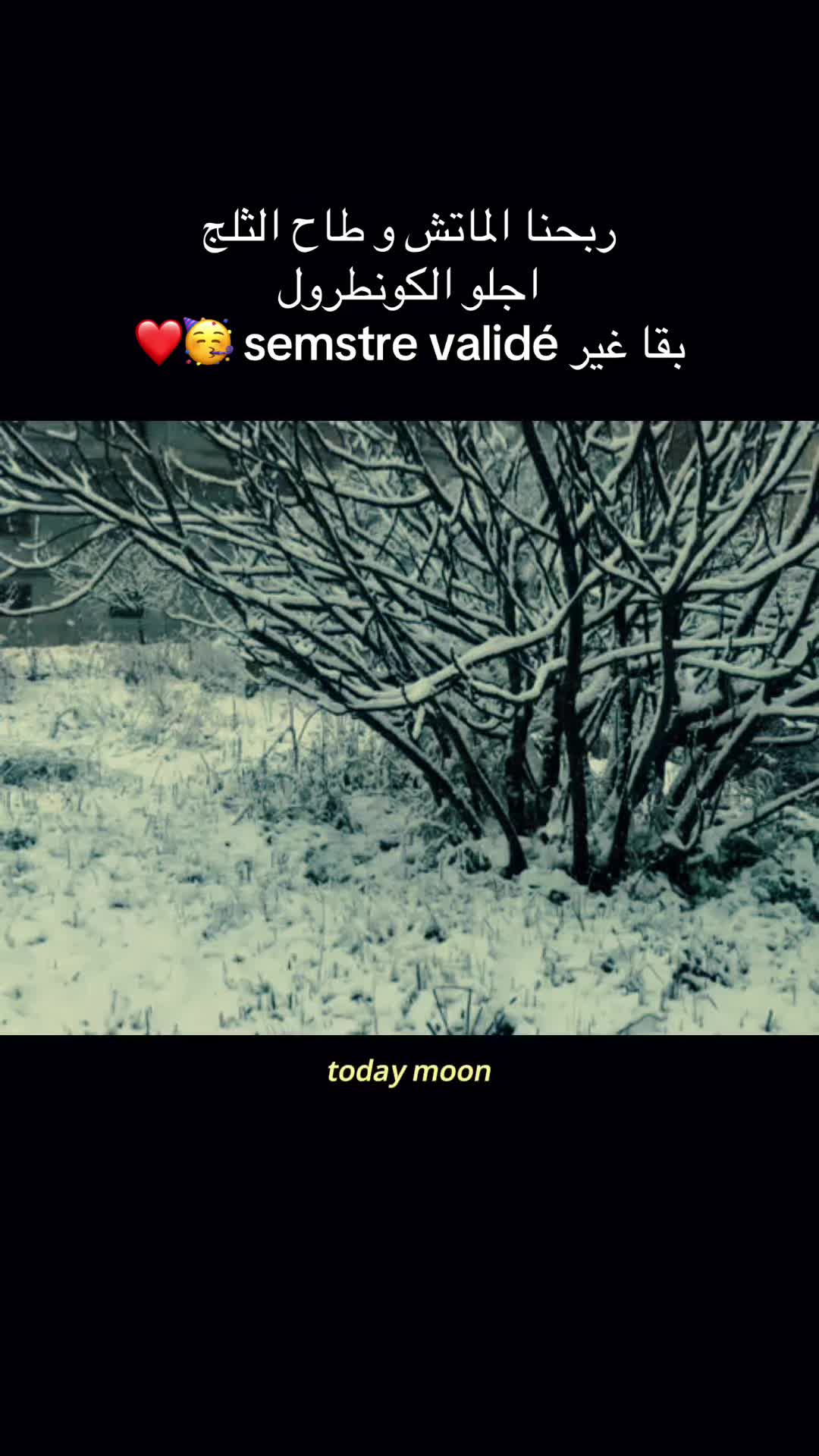 @silyyy🩷