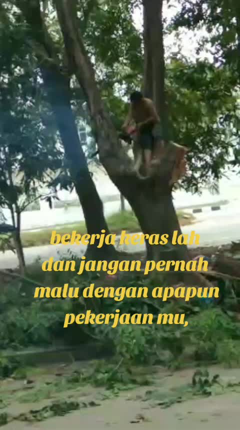 @TAMPUBOLON,TAN GUO LIM