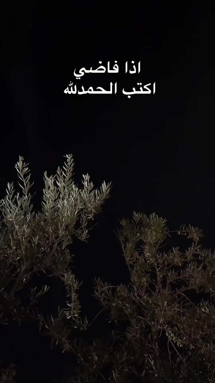 @هيـــّــآف 𓃚
