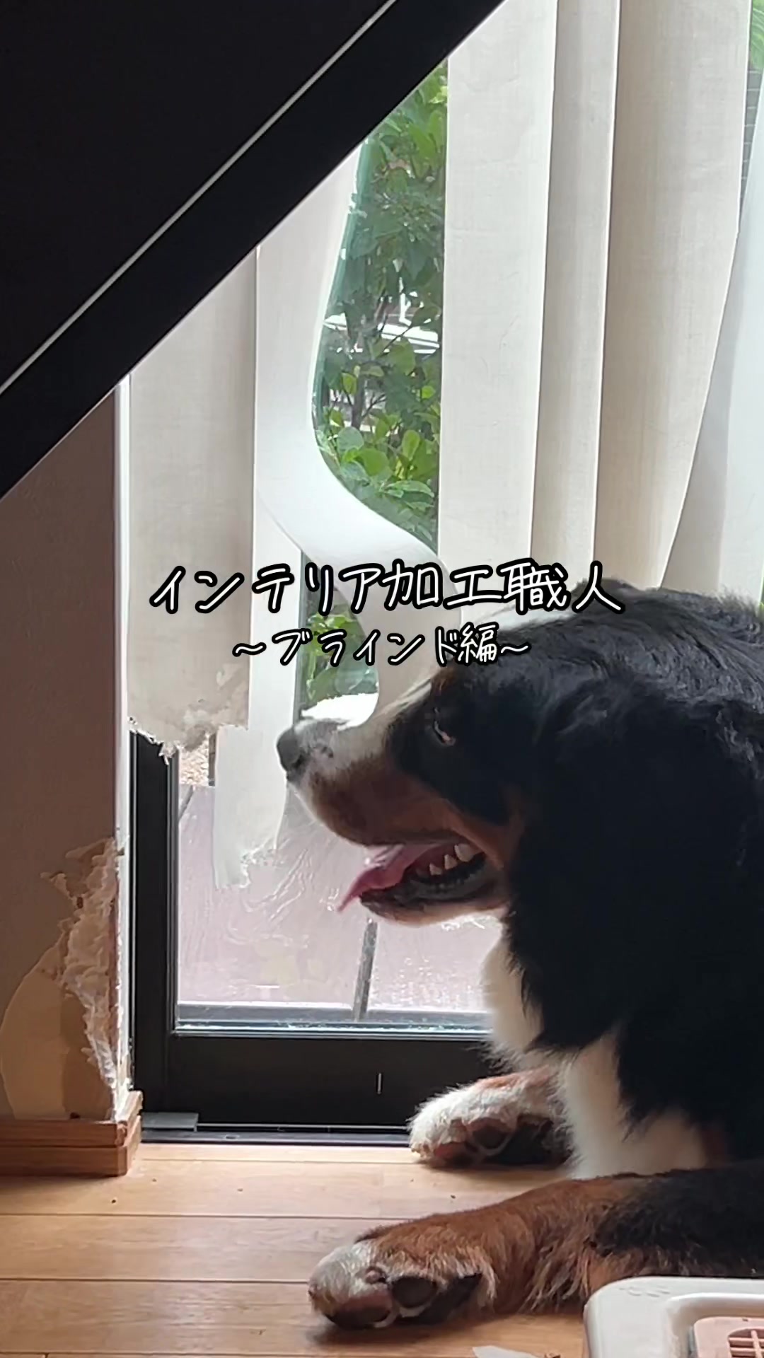 @å¯å£«å±±ð¶ð»ããŒããŒãºããŠã³ãã³ããã° - Fujisan