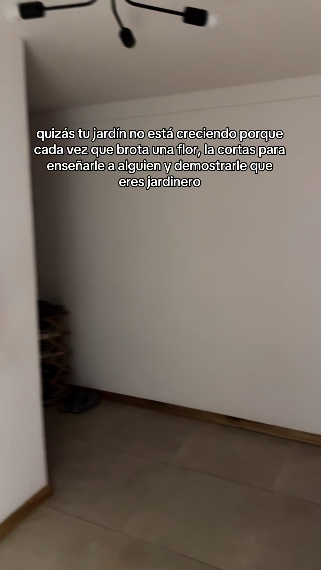 @tizi