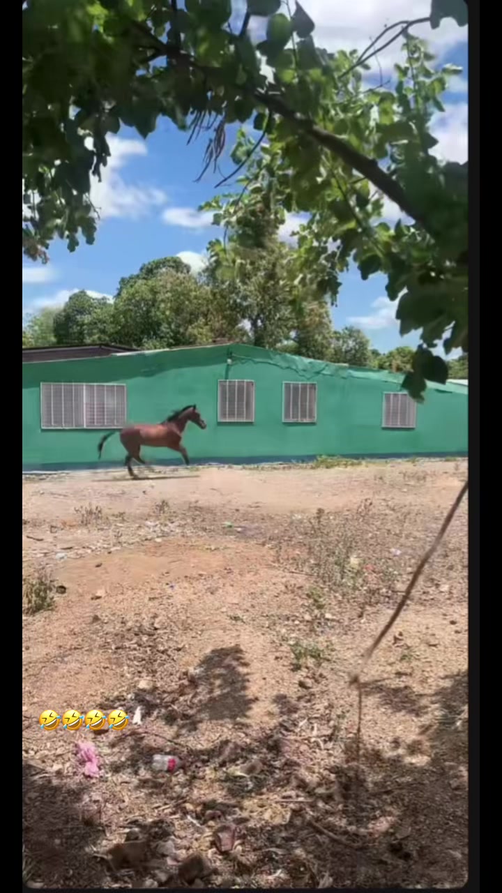 @MXRN.M