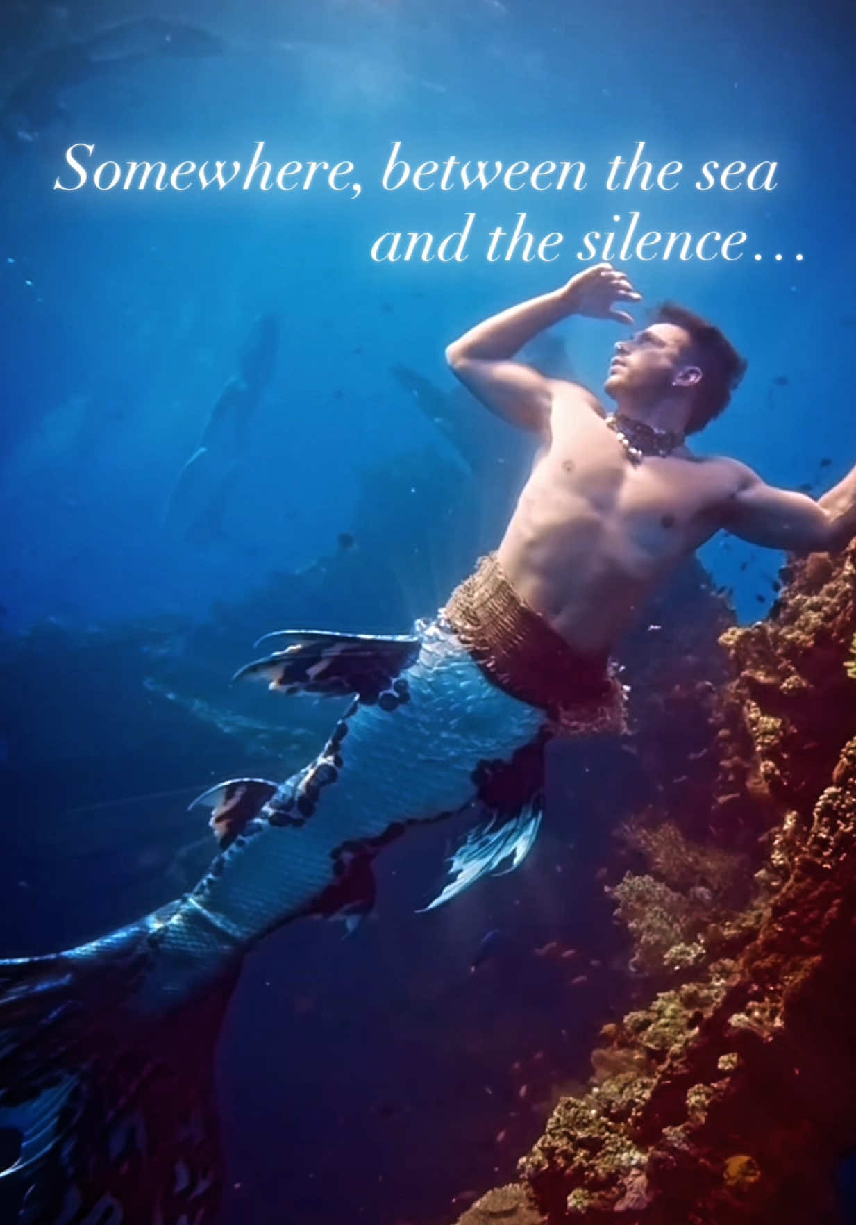 @mermanthommy