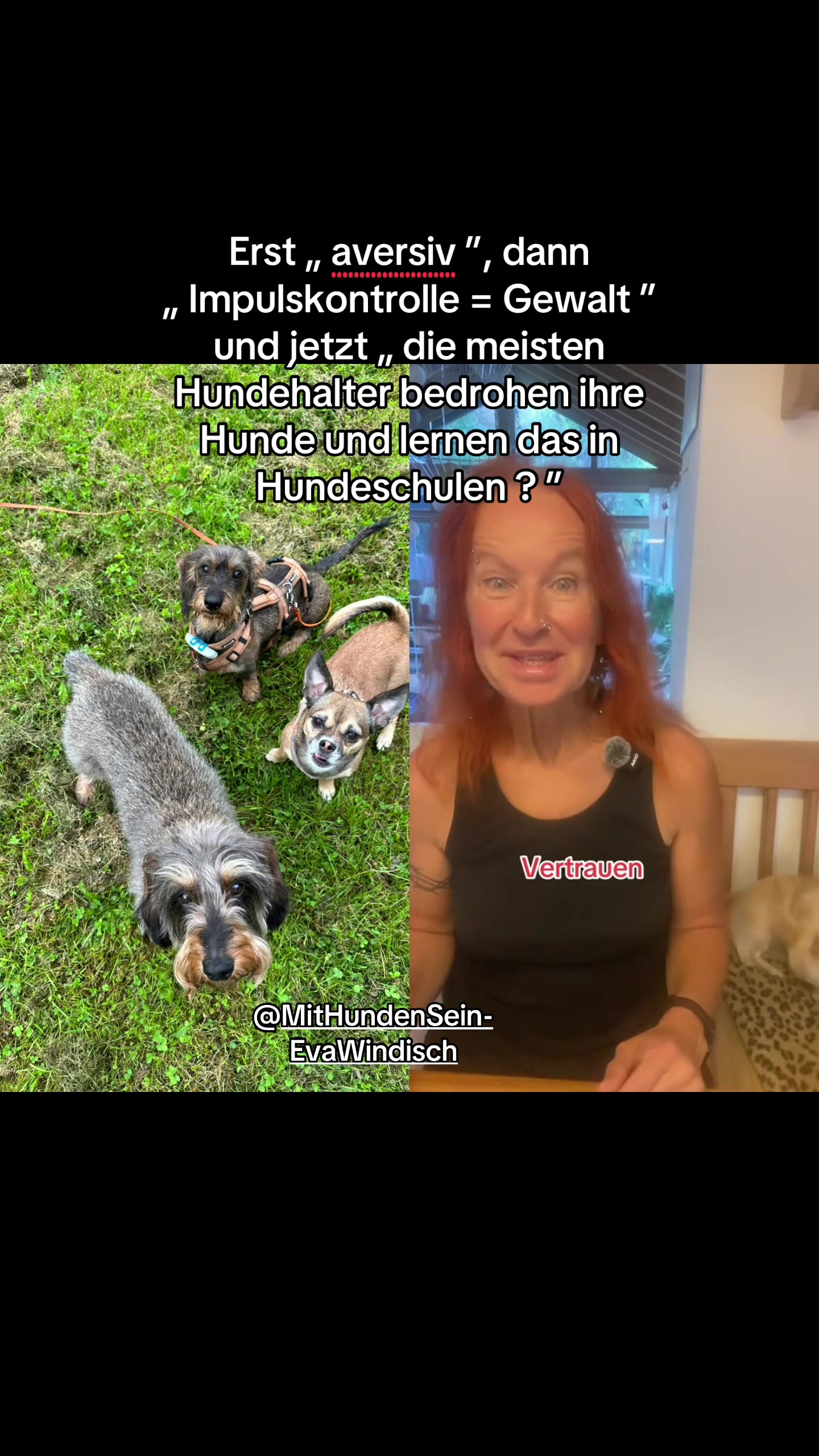 @Ichschützekinderundtiere