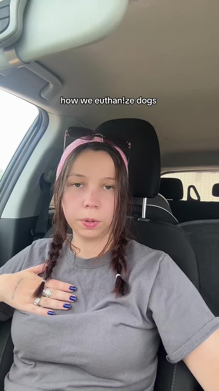@Kayleigh + Dogs