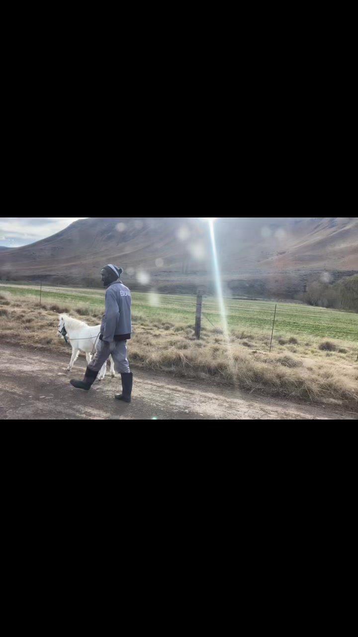 @ZANDIE SA🇿🇦