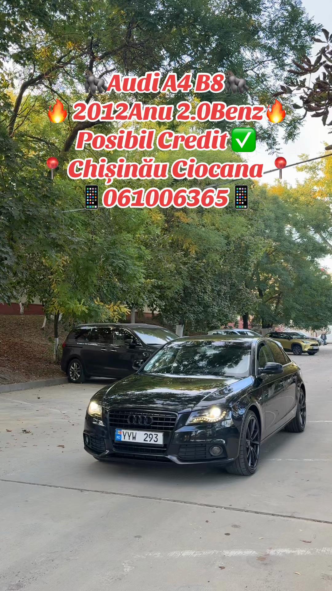 @🚘dencic_006🚘