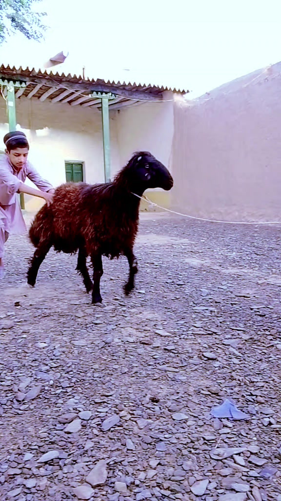 @👑SHiNWaRi KiNG👑