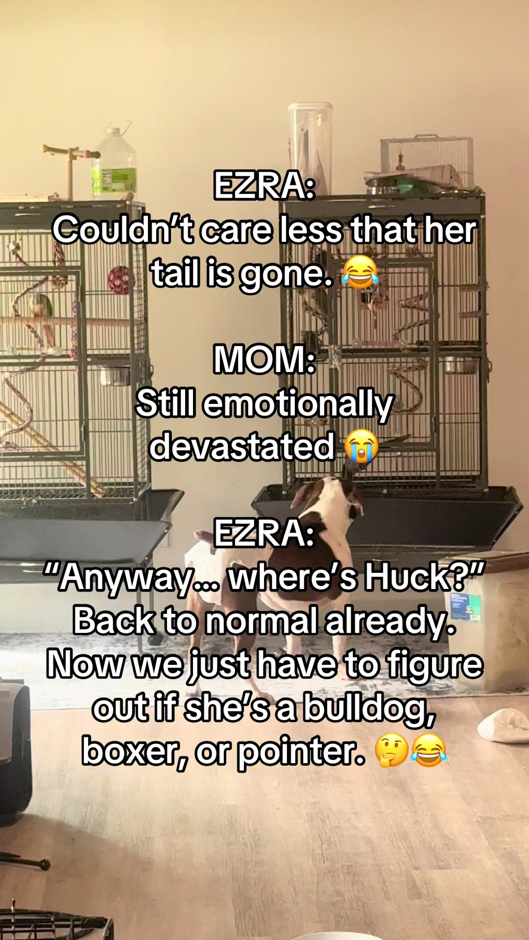 @EzraSharksIslandOfMisfitz