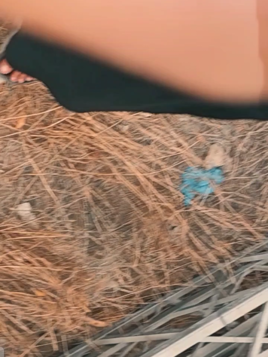 @𝙎𝙊𝙃𝘼𝙄𝘽🌿