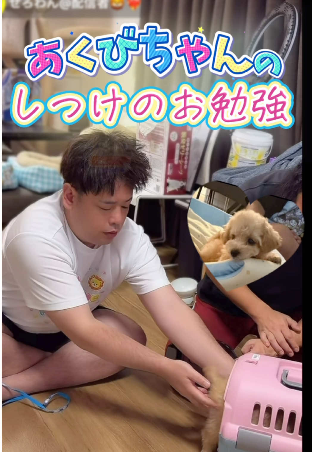 @ใฟใ๐ฆโค๏ธ๐ฅใใใฌใ