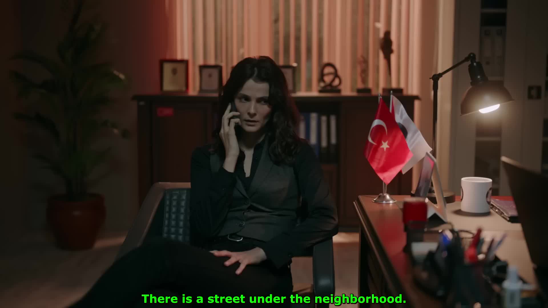 @Series EDIT SUBTITLE