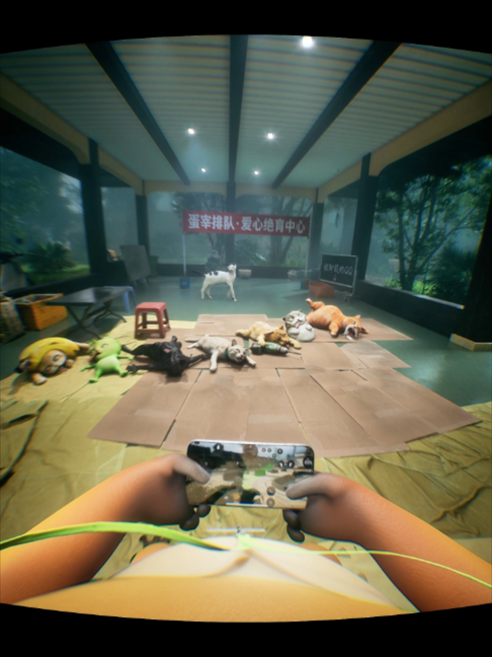 @TinyYelly 小黄脸