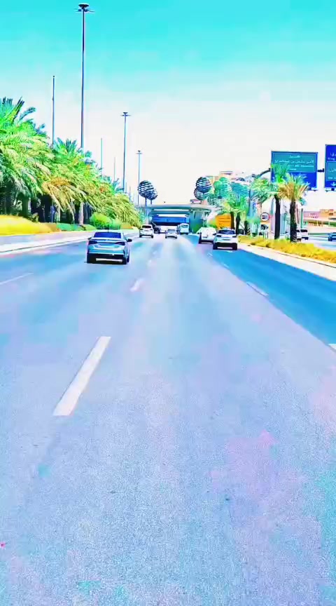 @❣️💫┗━⊱ 𝑹𝒆𝒅 ⊰━┛💫❣️
