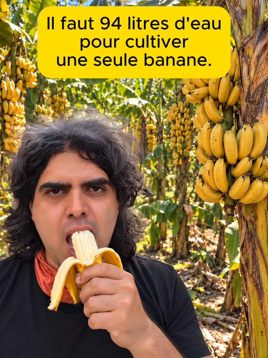 @Julien Chidiac