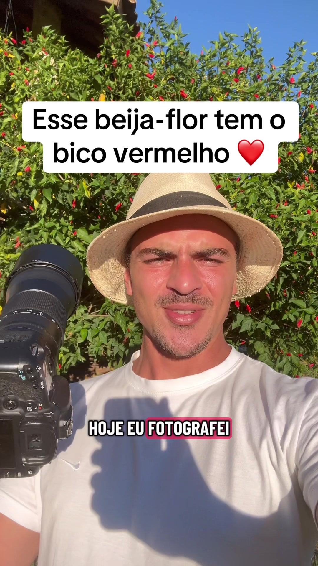 @Vinícius Köhn Pássaros