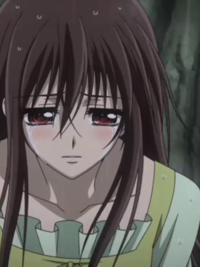 @vampire knight 🌹