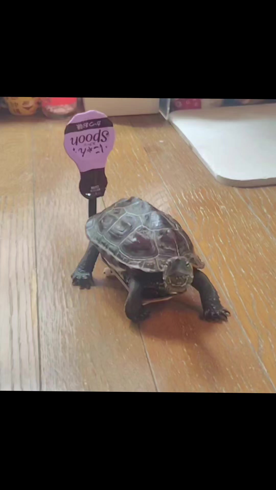 @クサガメ軍曹🐢