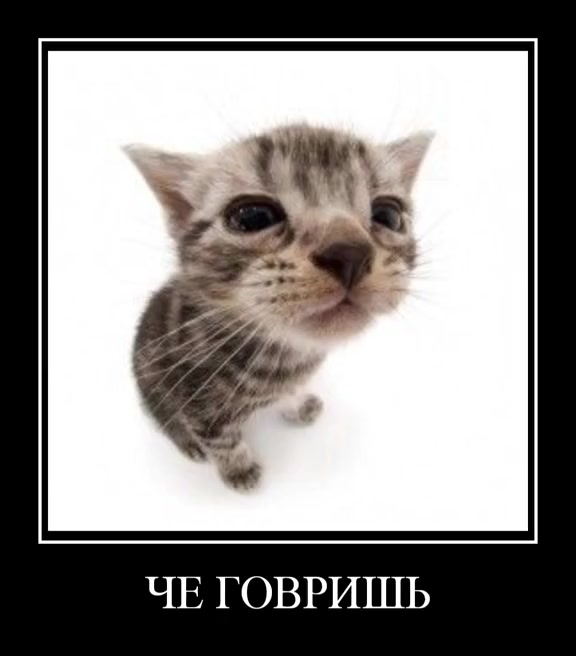 @Ку