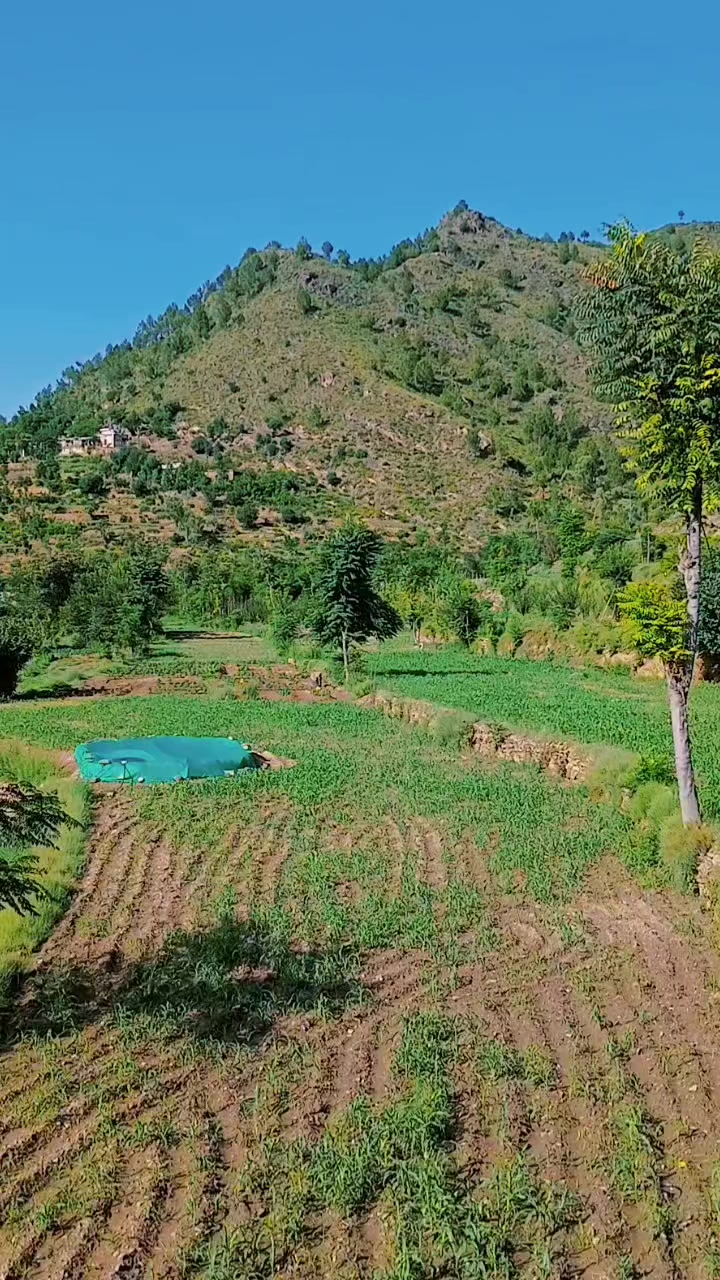 @Siraj Ullah121