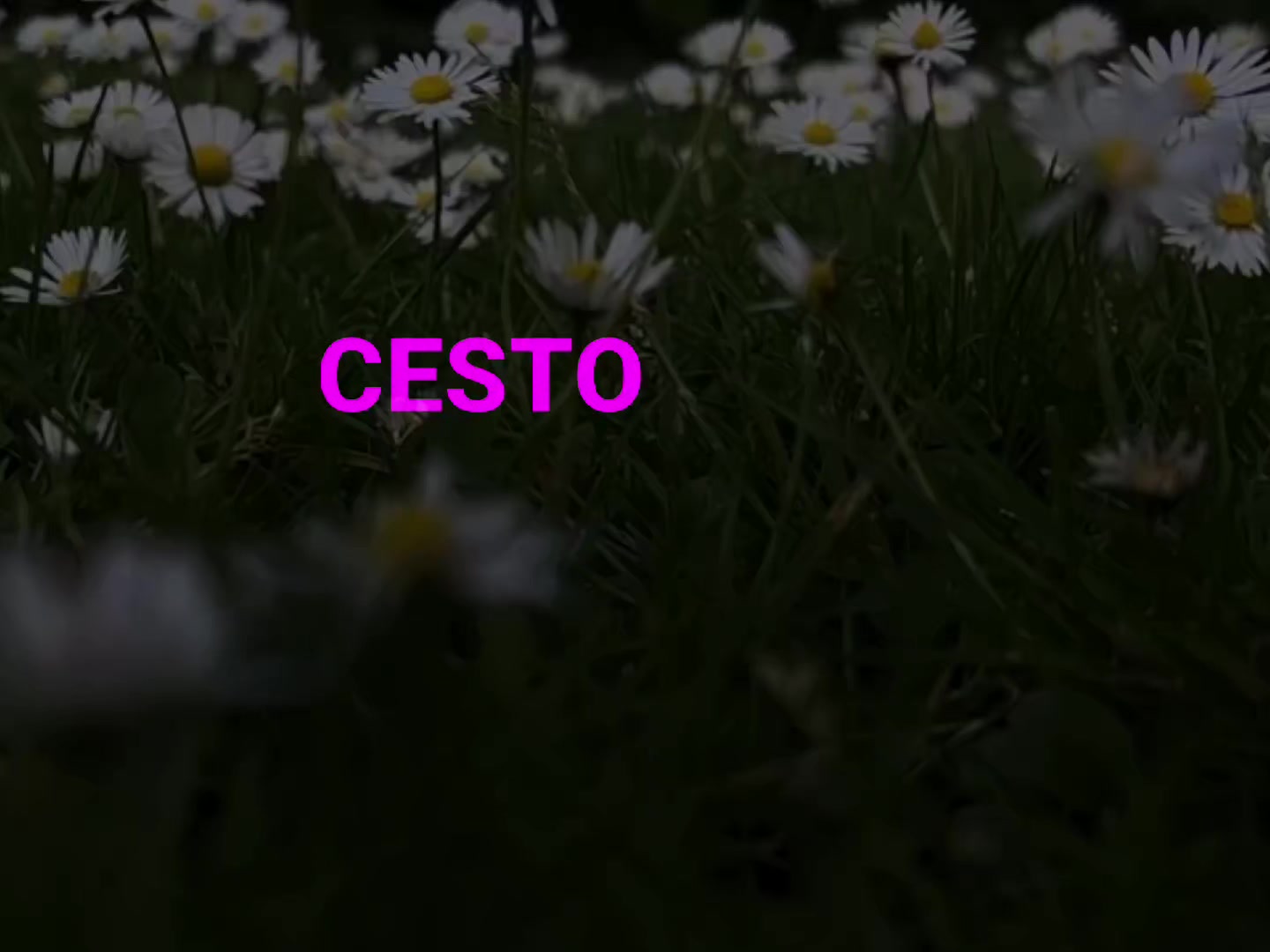 @Balkan Music