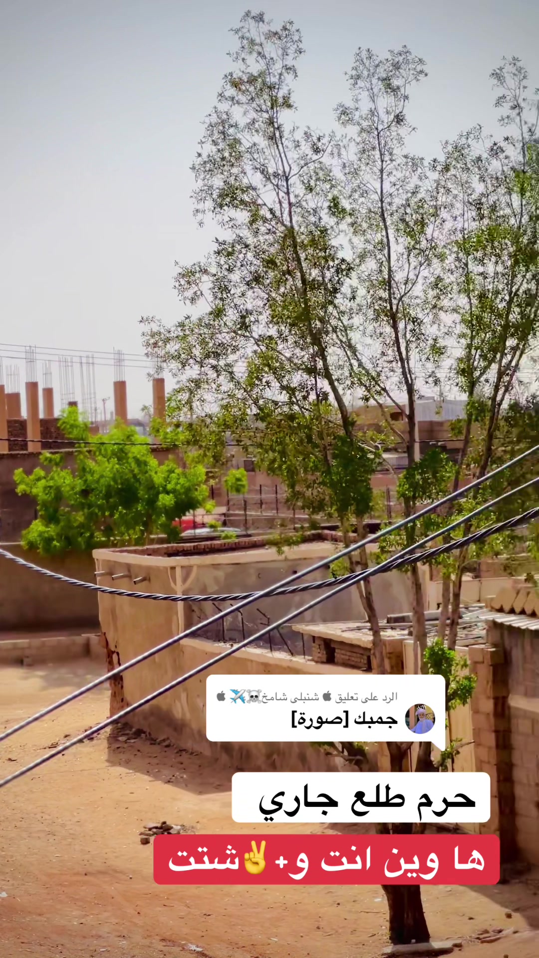 @,ٓاخو ,ٓعموري 919