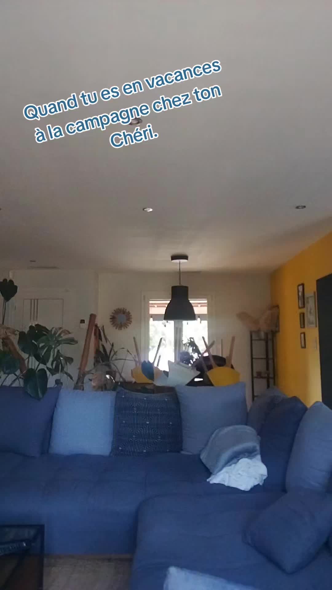 @CESEVY