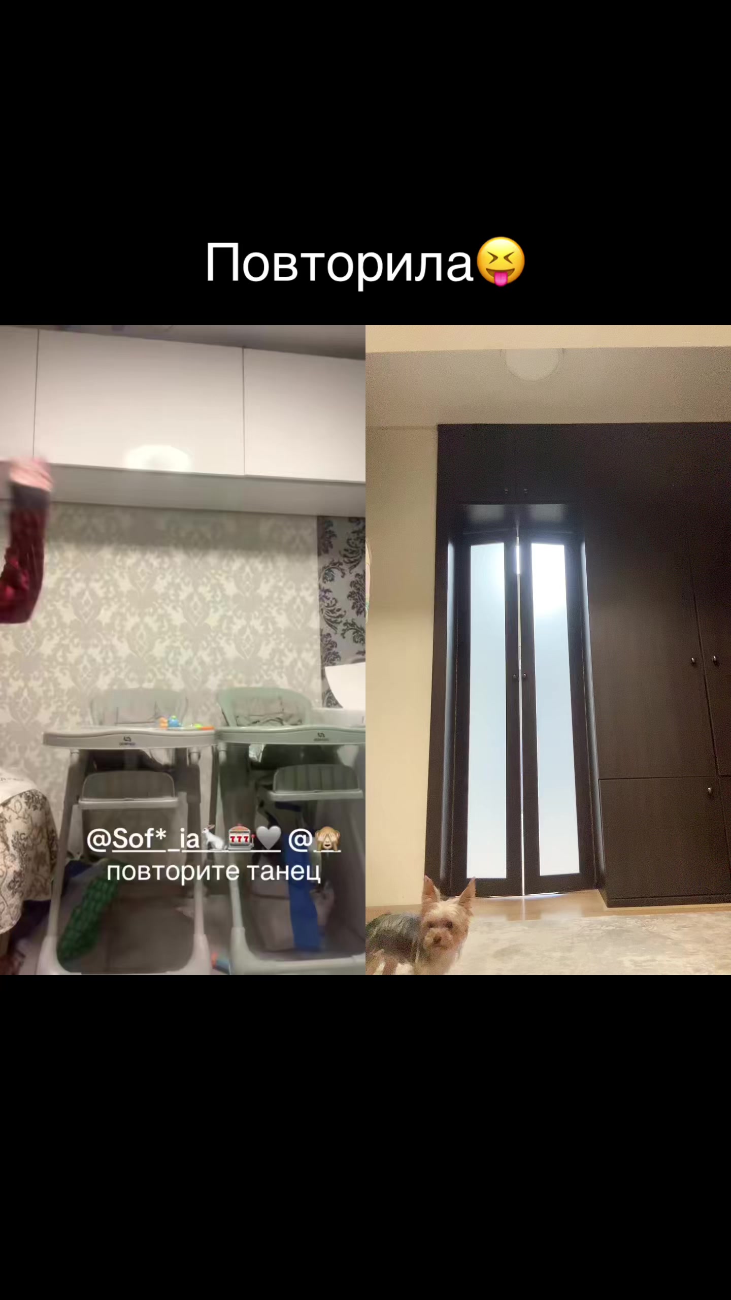 @🙈