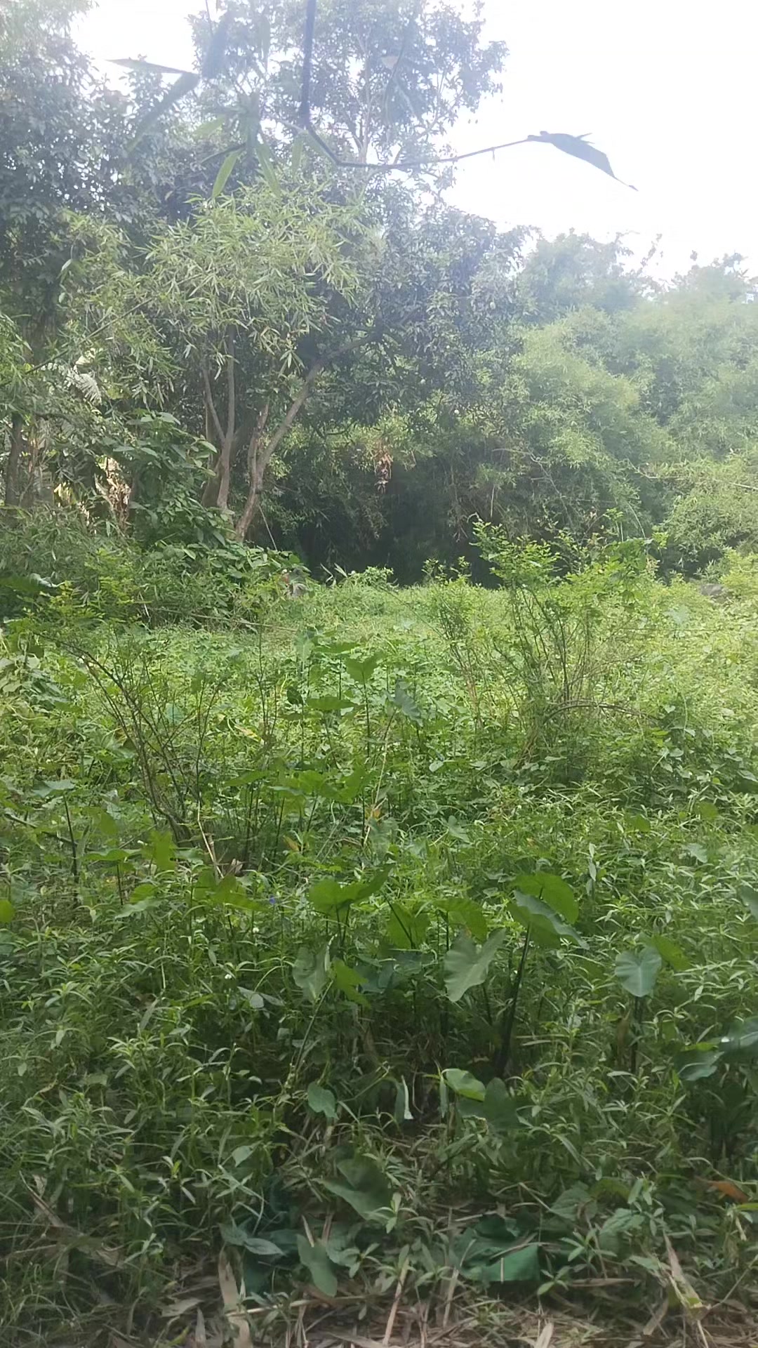 @ᏕᏂᎥᏉᏦᏬᎷᏗᏒ ᏒAᎷ🥀👌