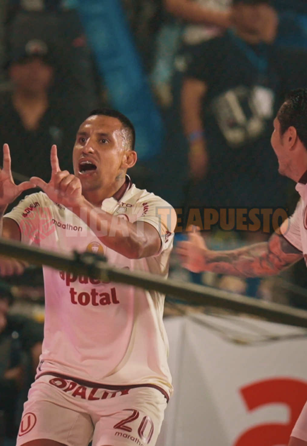 @Liga de F&uacute;tbol Profesional