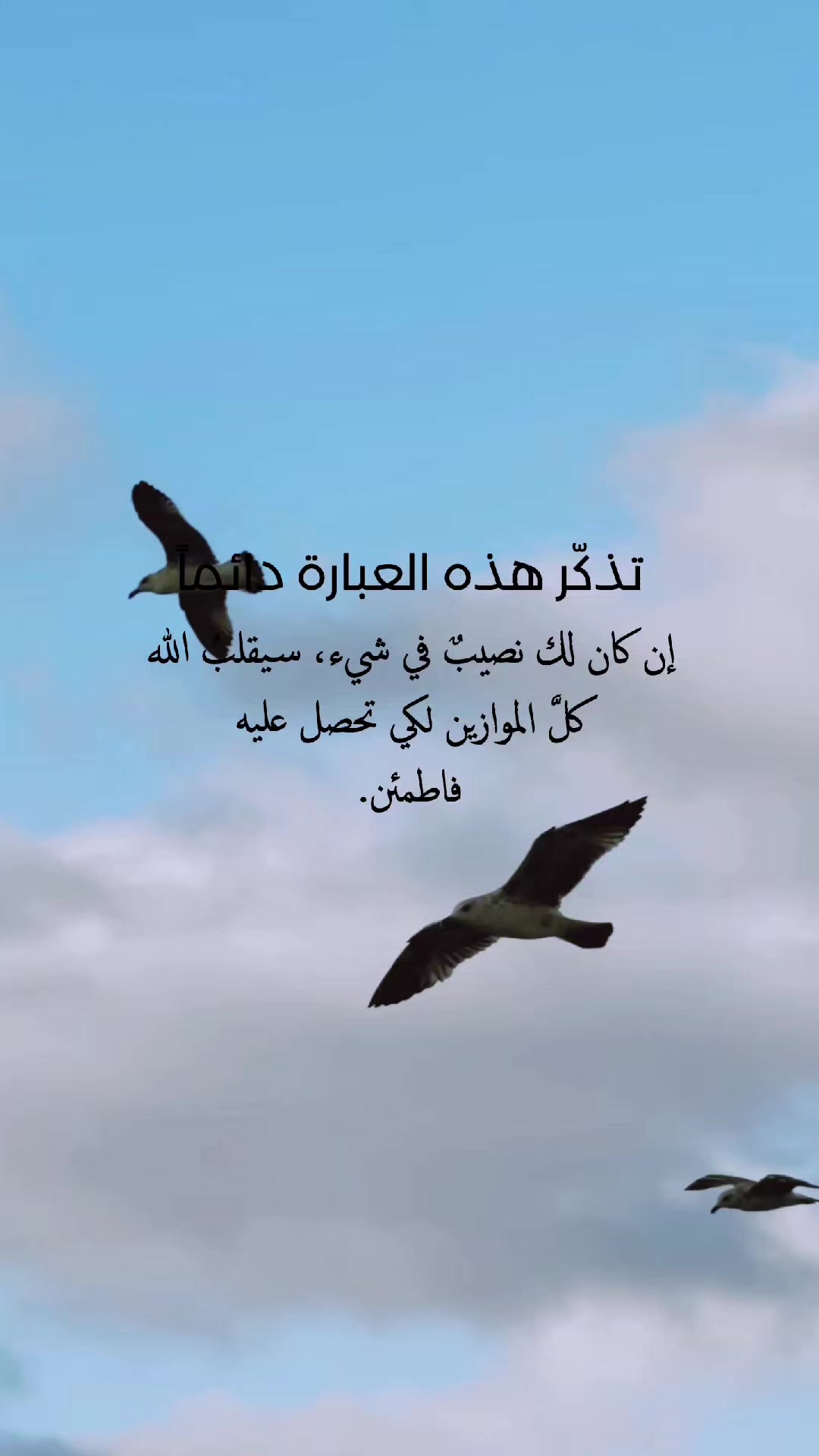 @حيدر الوائلي