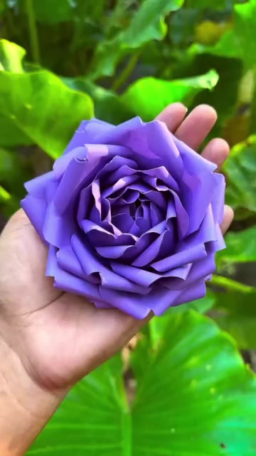@💕ℚ𝕦𝕖𝕖𝕟 𝕠𝕗 ℍ𝕖𝕒𝕣𝕥💕