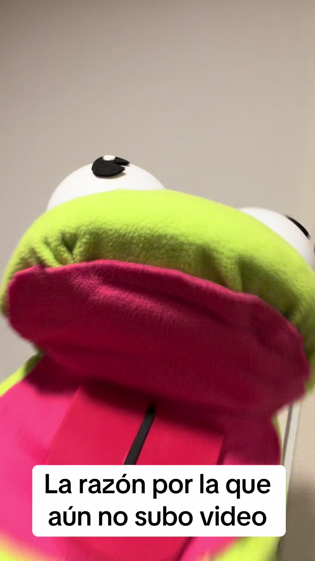 @ribitfrog