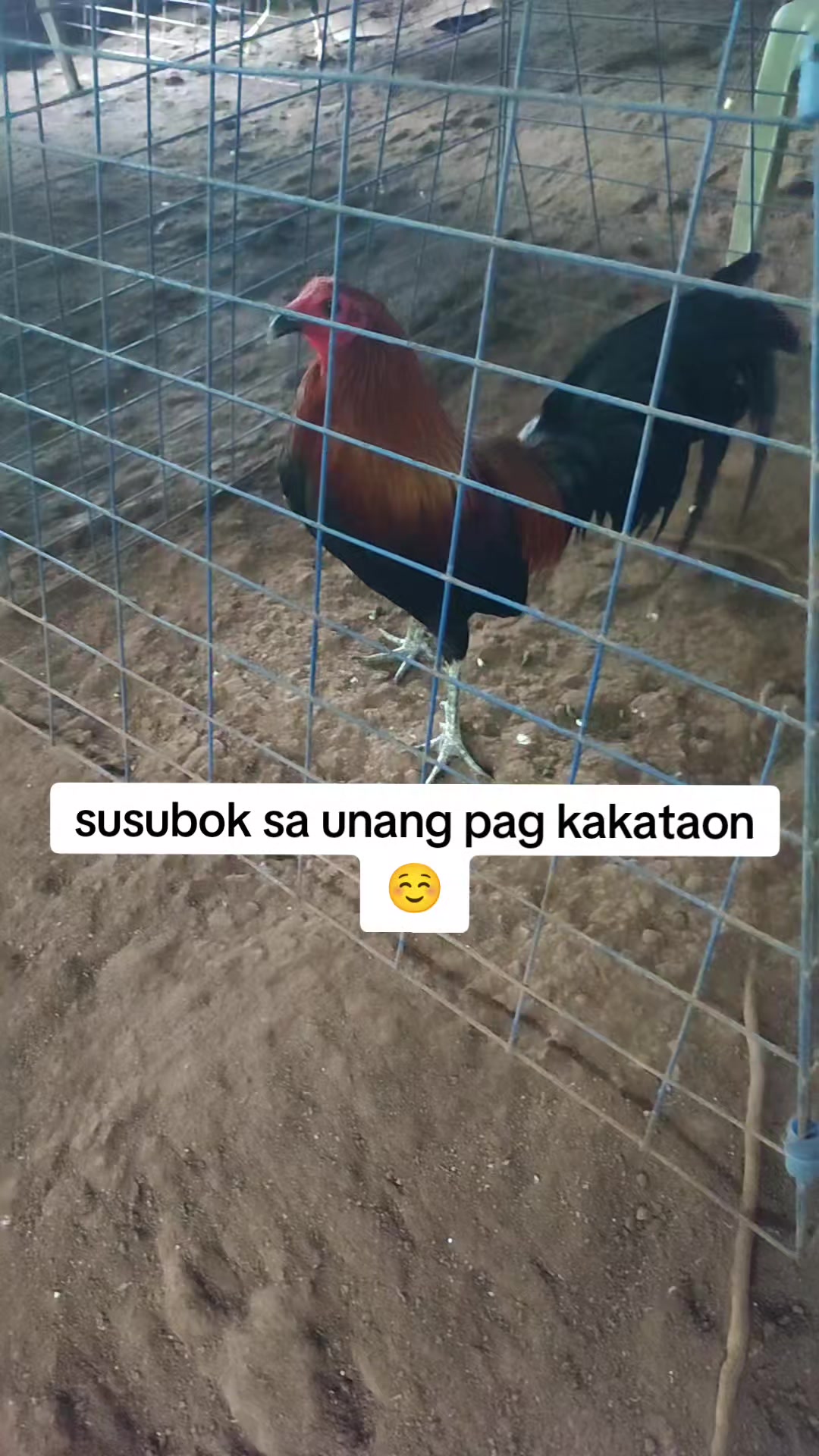 @kaymark alejandro