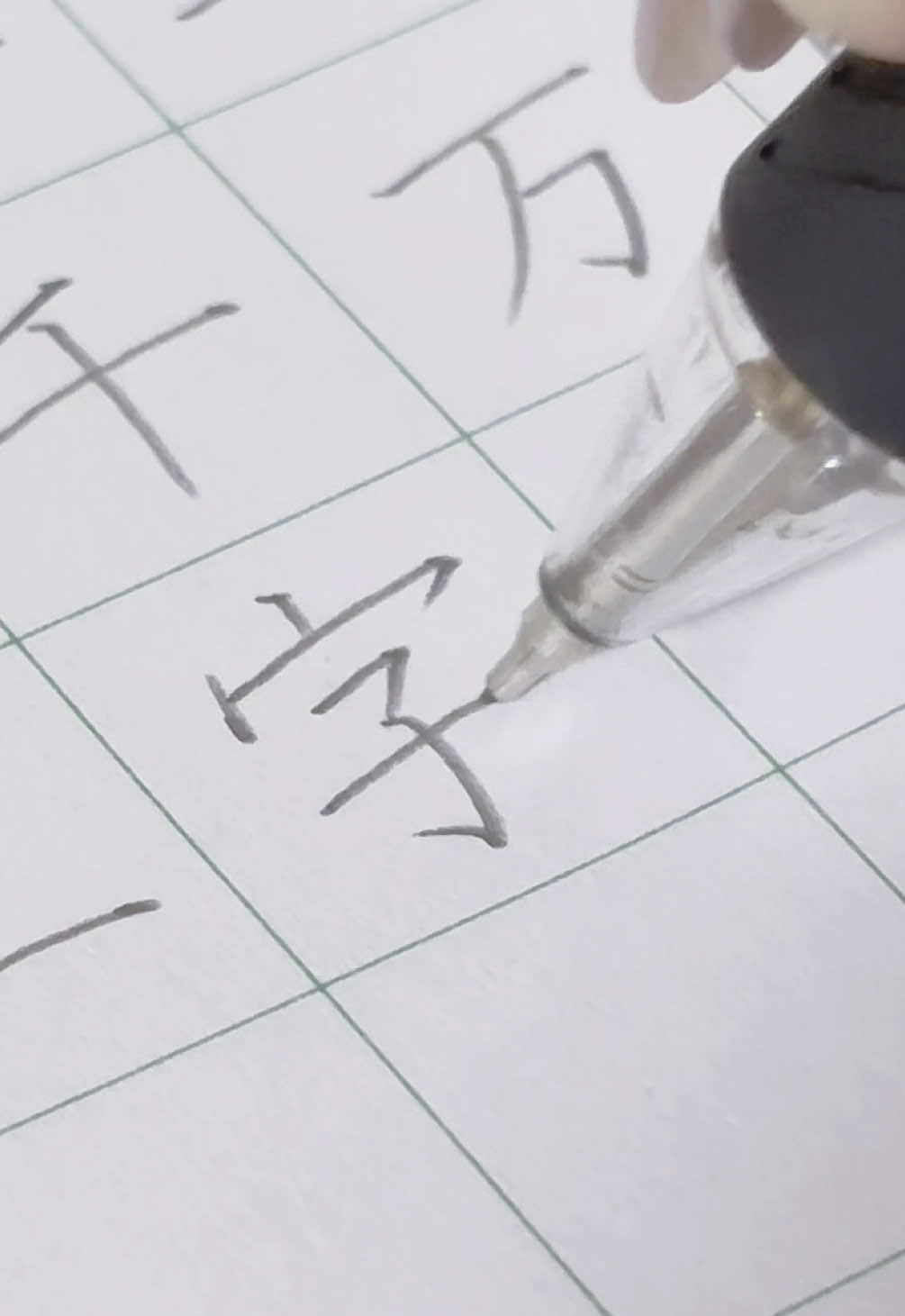 @茉 莉