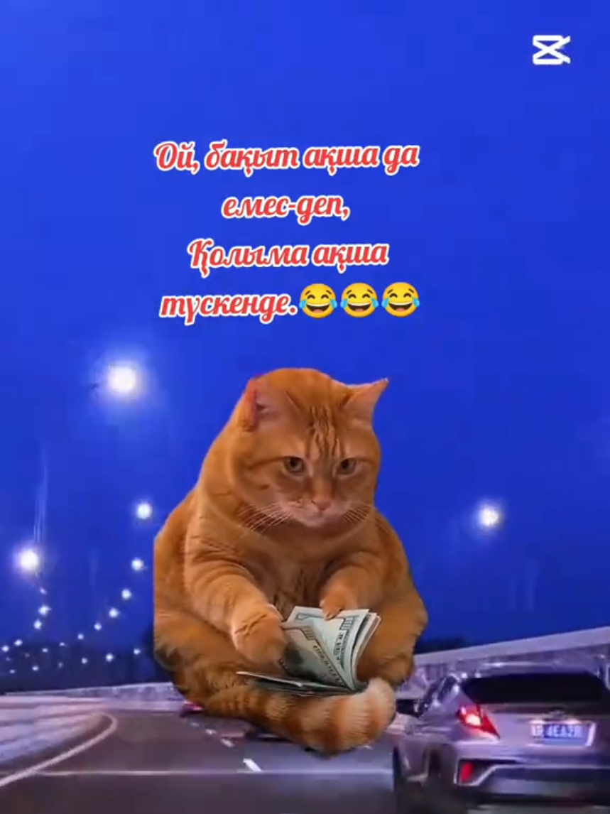 @Зулхумар Курбанбекова⭐️⭐️🔥