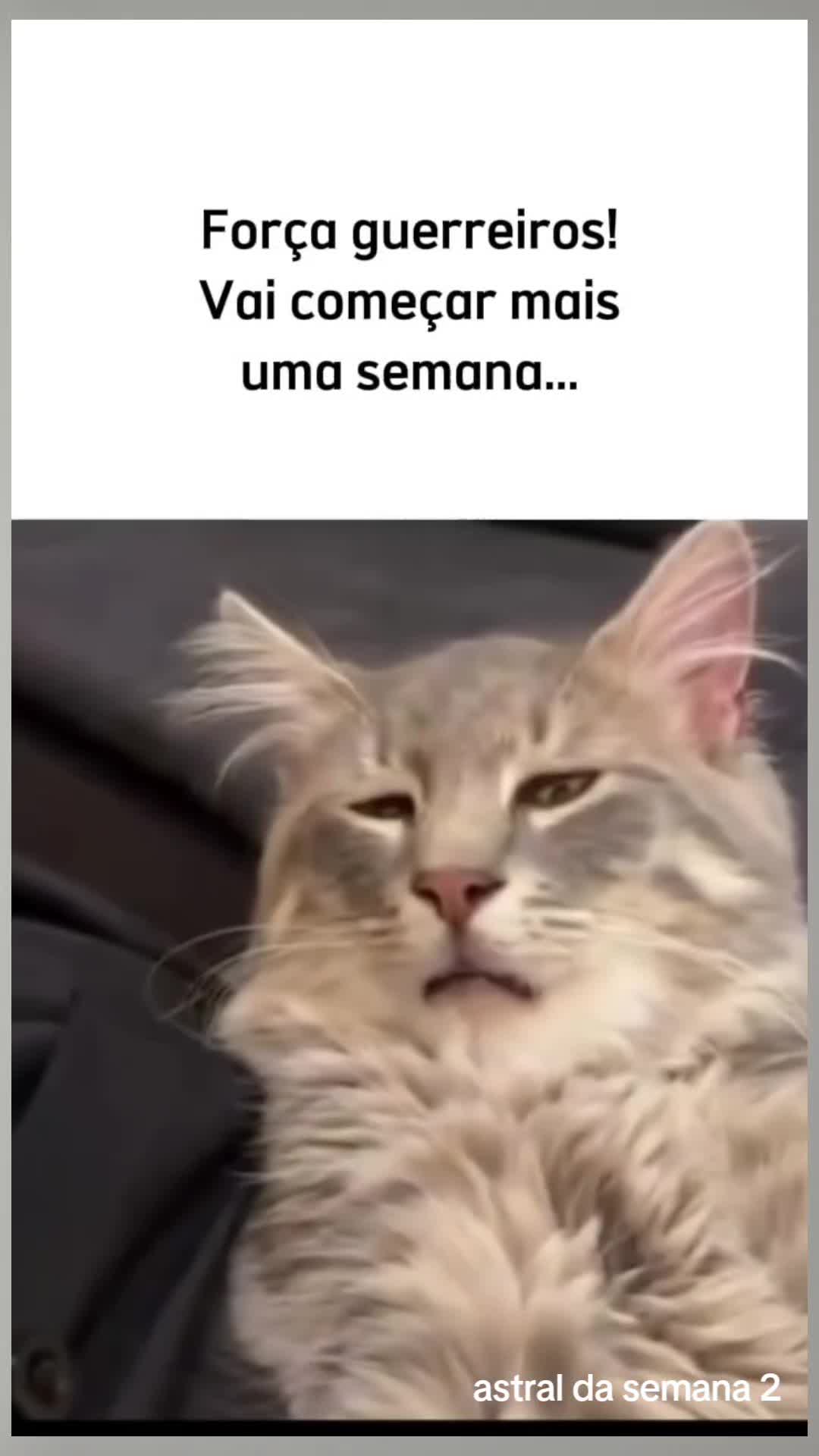 @Astral da semana 2