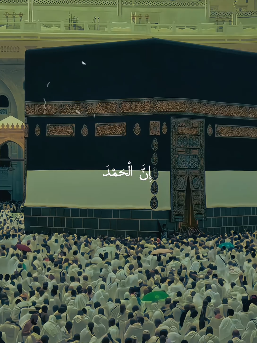 @â¨đđđđđ đđđđŠđ¨â¨